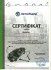 Сетрифікат: Трос ручного гальма (955/782mm) задній Fiat Ducato/ Citroen Jumper (02-) (1102628) CAVO