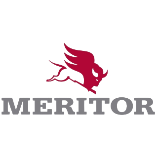 Комплект гальмівних колодок MERITOR MDP3122 фото товару