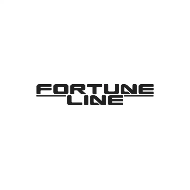 Опора балки підвіски для FORTUNA LINE FZB060 фото товару