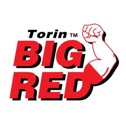 Гумoвa нaклaдкa для дoмкpaтов T83502, TZ830022, T8 для Torin T83502T3A фото товару