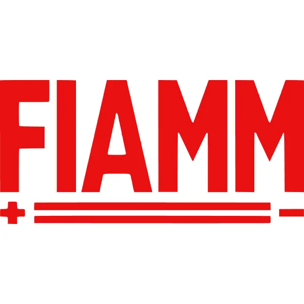 Акумуляторна батарея 44А для FIAMM 7905166 фото товару