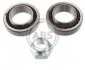 <strong>Подшипник ступицы задней. Ford Escort V/VI/VII/Fiesta III 89-98 ABS 200026 (фото 1)</strong>