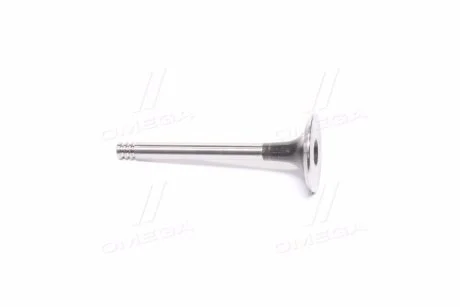 Клапан двигуна для Volkswagen, Seat, Audi, Skoda AE V91336 фото товару