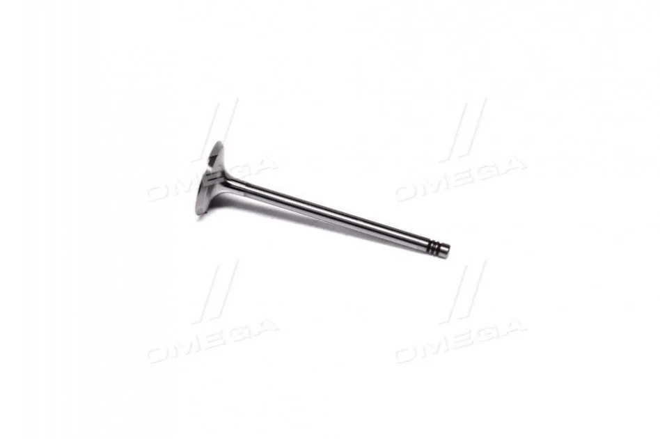 <strong>Впускний клапан AE V91925 (фото 1)</strong>