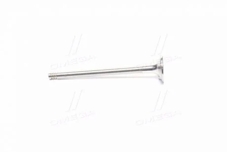 Клапан двигуна для Audi, Volkswagen, Skoda AE V94423 фото товару
