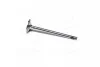 <strong>Впускний клапан. MAN D2840LF25/D2876LF12/13/25/D2876LOH20/21. 44.0X9.0X153.6 AE V95005 (фото 1)</strong>