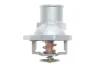 <strong>Термостат AIC 51576 (фото 1)</strong>