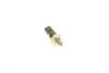 <strong>Датчик тиску оливи AIC 55401 (фото 2)</strong>