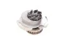 <strong>Водяний насос VW Golf I/II /Passat 1,0-1.3 -00 AIRTEX 1138 (фото 4)</strong>