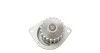 <strong>Водяний насос Xsara/Micra/Peugeot 205/306/309/405 1.4/1.5D/1.6 91- AIRTEX 1419 (фото 4)</strong>