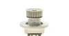<strong>Водяний насос Astra F/G/Corsa B/Vectra B 1.4/1.6 92-05 AIRTEX 1446 (фото 3)</strong>