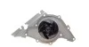 <strong>Водяний насос Audi 80/A4/A6/A8/Passat 2.4/2.6/2.8i 91-05 AIRTEX 1543 (фото 9)</strong>