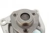 <strong>Водяний насос Astra G/Omega B/Vectra B/C 2.0/2.2DTI 96- AIRTEX 1643 (фото 7)</strong>