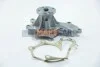 <strong>Водяний насос Nissan X-Trail/Almera/Primera 2.2dCi/Di 00- AIRTEX 1672 (фото 2)</strong>