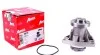 <strong>Водяний насос OMEGA/VECTRA 2.5D/3.2D 93- AIRTEX 5079 (фото 1)</strong>