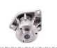 <strong>Водяний насос OMEGA/VECTRA 2.5D/3.2D 93- AIRTEX 5079 (фото 5)</strong>