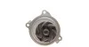<strong>Водяний насос A6/LT/T4/Crafter 2.4D/2.5TDI (20z.) AIRTEX 9274R (фото 4)</strong>
