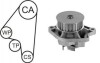 SEAT К-кт ГРМ (помпа с прокладкой + ремень + ролик) AROSA 1.0 97-04, IBIZA III 1.6 03-09, VW CADDY II 1.4 95-03, POLO III CLASSIC 60 1.4 95-01 AIRTEX WPK-1582R02 (фото 1)