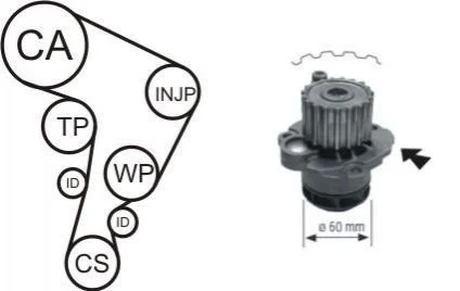 <strong>VW К-кт ГРМ (помпа+ремень+3 ролика+крепление) POLO IV 02-12, SKODA FABIA I 99-08, SEAT IBIZA III 02-05 AIRTEX WPK-177701 (фото 1)</strong>