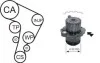 <strong>VW К-кт ГРМ (помпа+ремень+3 ролика+крепление) POLO IV 02-12, SKODA FABIA I 99-08, SEAT IBIZA III 02-05 AIRTEX WPK-177701 (фото 1)</strong>