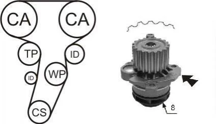 К-кт. ГРМ (ремень + 3 ролика + помпа + крепеж) AUDI 2,0TDI: A3/4/6 03- VW 2,0TDI: Golf V, Passat, Touran SKODA SEAT для Seat, Volkswagen, Audi, Skoda, Dodge AIRTEX WPK-199803 фото товару