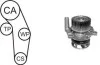 <strong>VW К-т ГРМ (помпа + ремень + ролик) Golf IV 1,6/2,0Skoda 1,6/2,0 Seat AIRTEX WPK-937701 (фото 1)</strong>