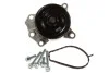 <strong>Насос водяной AISIN WPT-912C (фото 2)</strong>