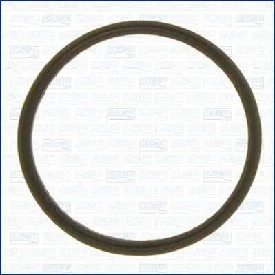 <strong>Прокладка термостату CHEVROLET CAPTIVA (11-) Ajusa AJUSA 01173500 (фото 1)</strong>