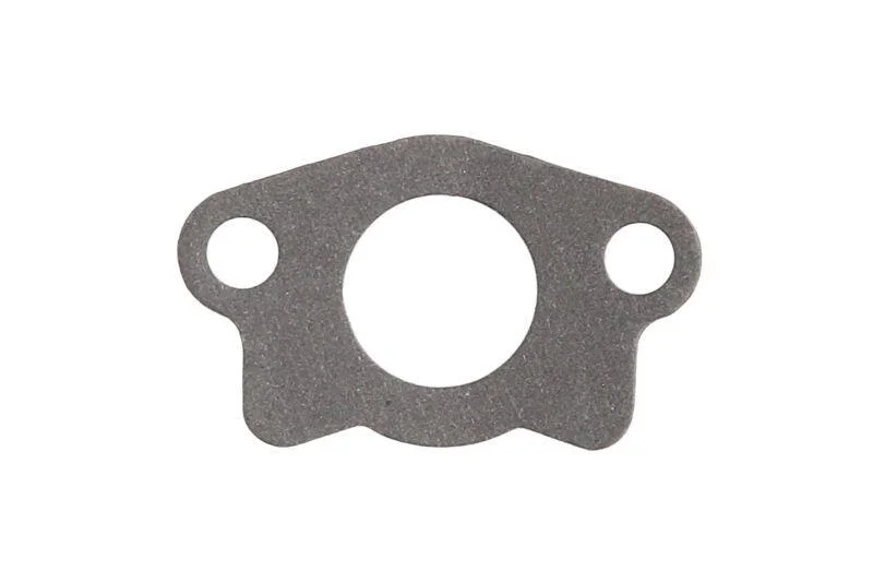 <strong>Прокладка масляного насосу Hyundai ix35 (13-15)/ Kia Sportage III 2.0i Ajusa AJUSA 01513700 (фото 1)</strong>