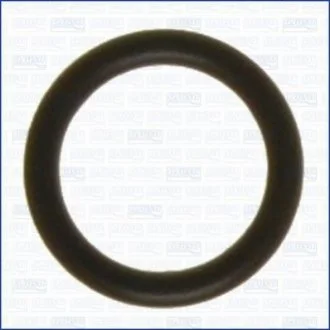 Кільце гумове для Volkswagen, Seat, Skoda AJUSA 16013800 фото товару