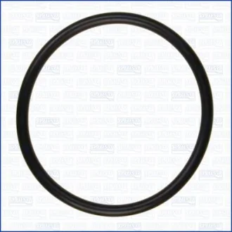 Прокладка, впускной коллектор для Audi, Seat, Volkswagen, Skoda AJUSA 16063200 фото товару