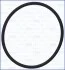 <strong>Прокладка клапана ВГ DB Vito 03-, W203/W211/W220 2,1-3,2CDI AJUSA 16077400 (фото 1)</strong>