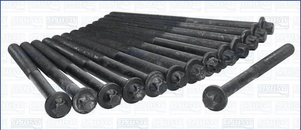 <strong>Комплект болтів двигуна з фігурною головкою AJUSA 81004600 (фото 1)</strong>