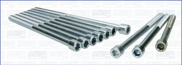 <strong>Комплект болтів двигуна з фігурною головкою AJUSA 81006100 (фото 1)</strong>