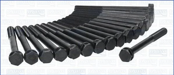 <strong>Болти головки блоку циліндрів AJUSA 81012800 (фото 1)</strong>