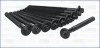 <strong>Компл. болтів ГБЦ RENAULT MEGANE I, II, III 1.4, 1.6i (10шт) Ajusa AJUSA 81024900 (фото 1)</strong>