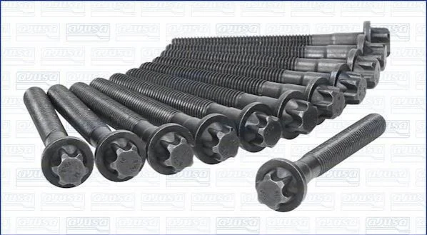 <strong>Комплект болтів двигуна з фігурною головкою AJUSA 81028200 (фото 1)</strong>