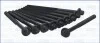 <strong>Комплект болтів двигуна з фігурною головкою AJUSA 81031700 (фото 1)</strong>