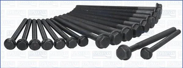 <strong>Комплект болтів двигуна з шестигранною головкою AJUSA 81043800 (фото 1)</strong>