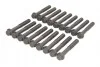 <strong>Болты головки блока Mitsubishi L200/Pajero 2.5 DI-D 05- AJUSA 81046000 (фото 1)</strong>