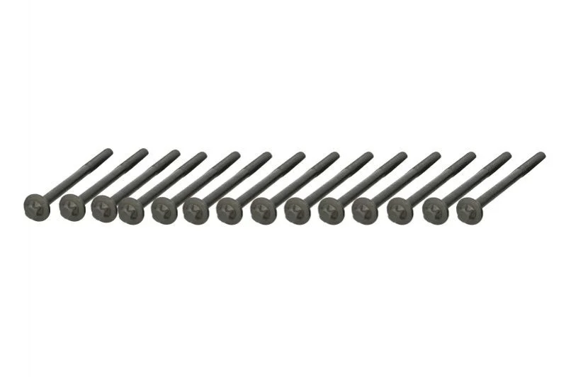 <strong>Комплект болтів головки циліндра AJUSA 81056100 (фото 1)</strong>