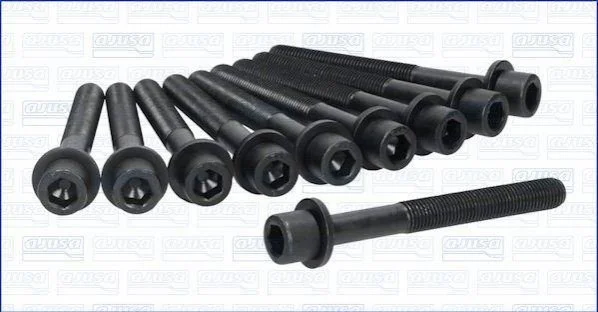 <strong>Комплект болтів двигуна з фігурною головкою AJUSA 81062900 (фото 1)</strong>