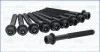 <strong>Комплект болтів двигуна з фігурною головкою AJUSA 81062900 (фото 1)</strong>