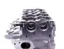<strong>Головка блоку циліндрів VW Caddy 2.0TDI 10- (351P) AMC 908725 (фото 6)</strong>