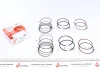 <strong>Поршневі кільця AMP PR-DAE-49-3538-025-SET (фото 1)</strong>