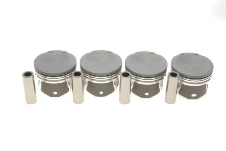 Комплект поршнів для AMP PX-CHE-4A-1590-000 фото товару