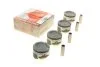 <strong>Комплект поршнів AMP PX-DAE-4A-3548-050 (фото 1)</strong>