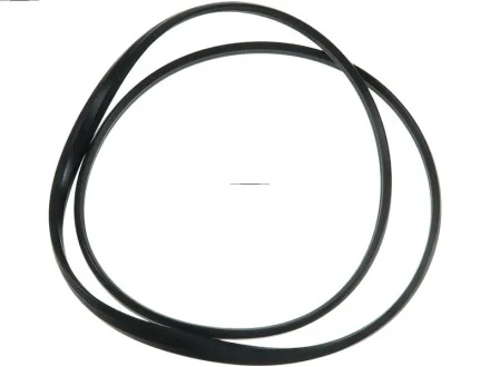 Кільце гумове для AS ARS0057 фото товару