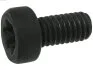 <strong>Болт з головкою системи TORX з чорного металу AS SP3022S(BULK) (фото 1)</strong>