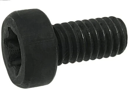 Болт з головкою системи TORX з чорного металу для AS SP3022S(BULK) фото товару
